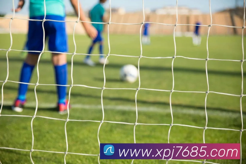 未来规划